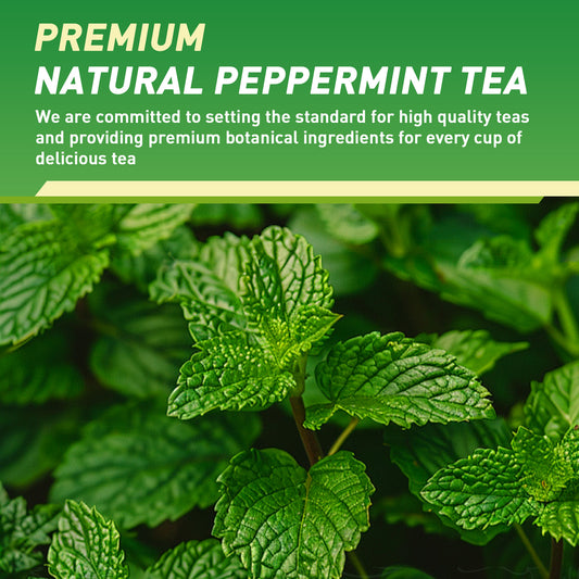 Peppermint Tea — Pure Clarity & Digestive Wellness Blend