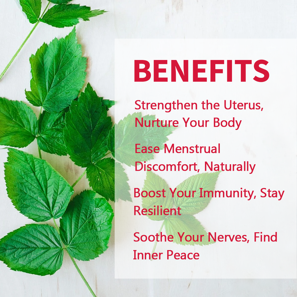 Red Raspberry Leaf Tea — Traditional Women’s Wellness Blend