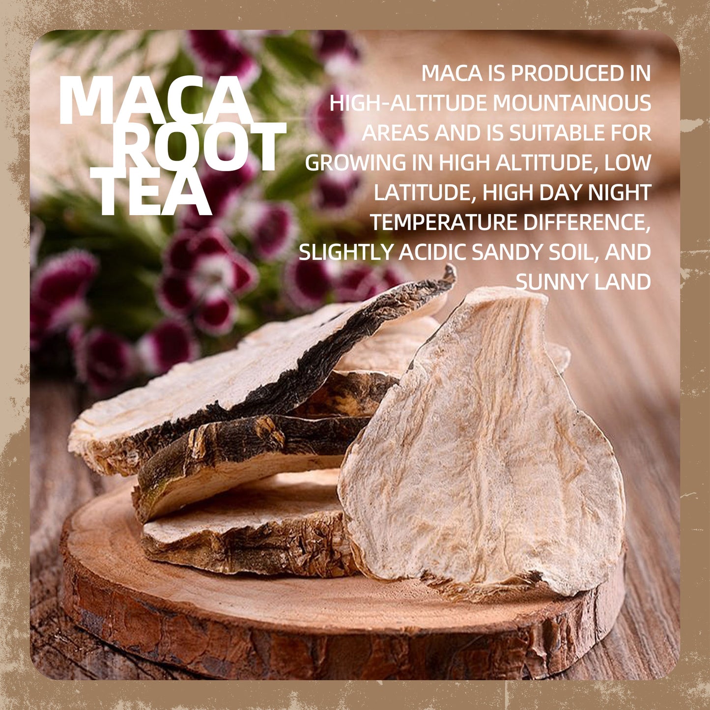 Maca Root Tea — Peruvian Adaptogenic Vitality Blend
