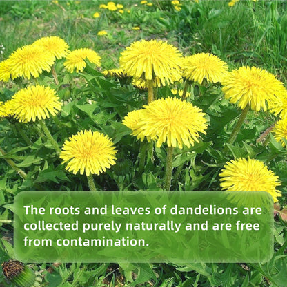Dandelion Root Tea — Eight-Herb Coffee Alternative Blend