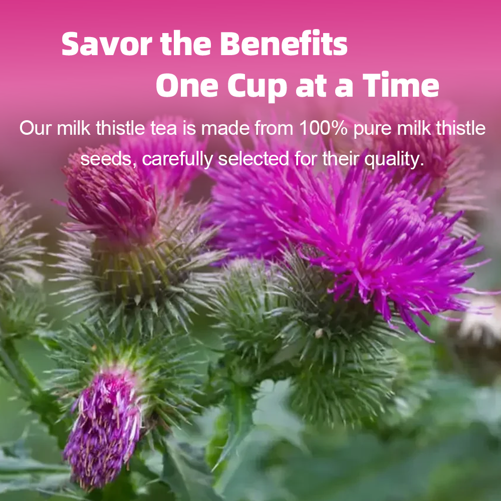 Milk Thistle Tea — Pure Silymarin Wellness Blend