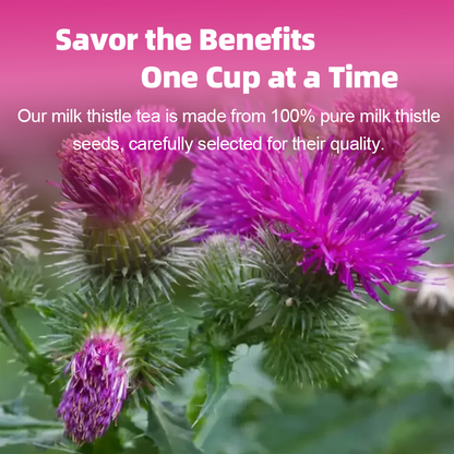 Milk Thistle Tea — Pure Silymarin Wellness Blend