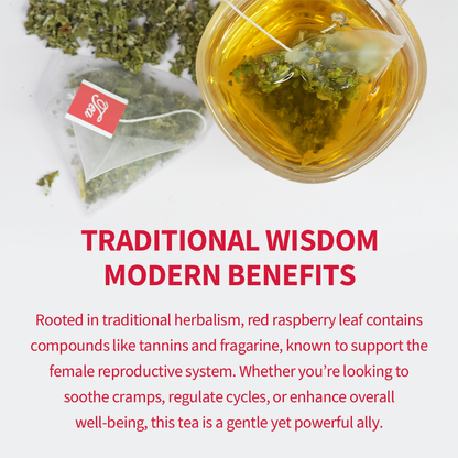Red Raspberry Leaf Tea — Traditional Women’s Wellness Blend