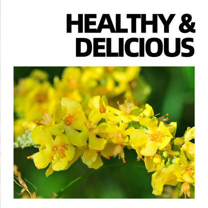 Mullein Leaf Tea — Traditional Respiratory Cleanse Blend