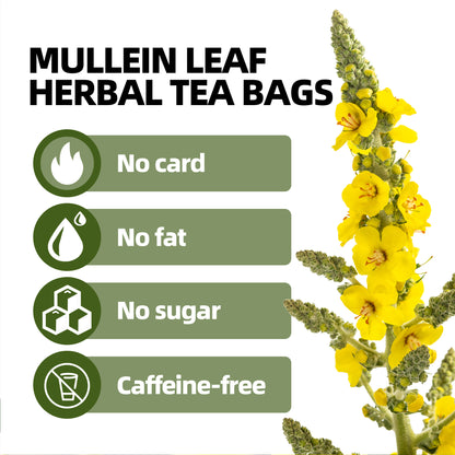 Mullein Leaf Tea — Traditional Respiratory Cleanse Blend