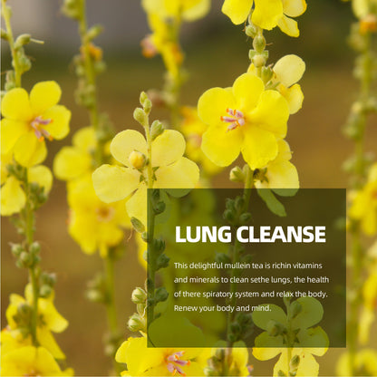 Mullein Leaf Tea — Traditional Respiratory Cleanse Blend